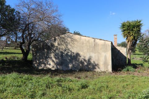 Herregård i Ispica, Ragusa, Ispica - € 120 000 | Ref: V003074 - foto 17